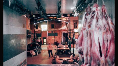 Seeing factory farming: