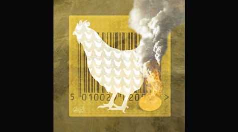 Seeing factory farming:
