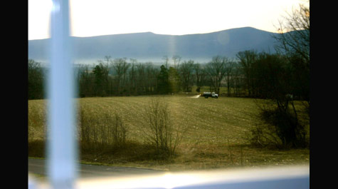 Seeing factory farming: