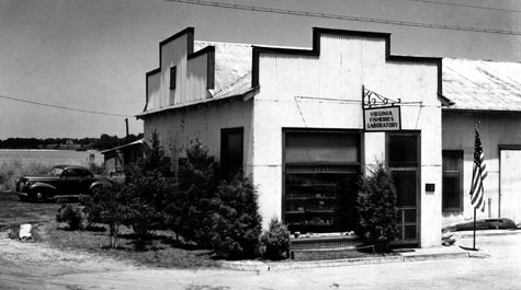 VIMS gas station: