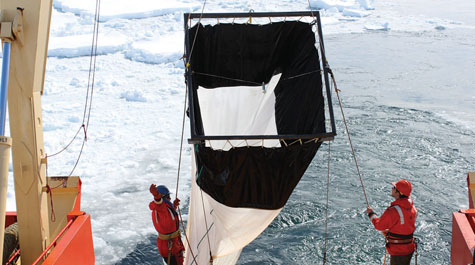 Antarctica: