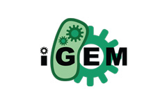 igem_widget.jpg.jpg