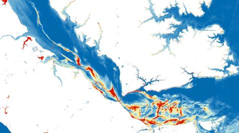 Satellite view of algal bloom