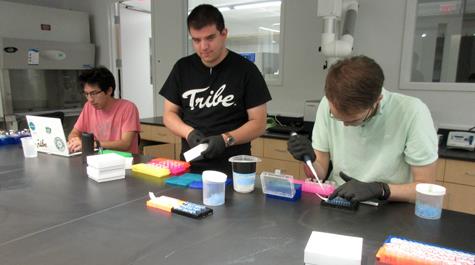 The makerspace culture