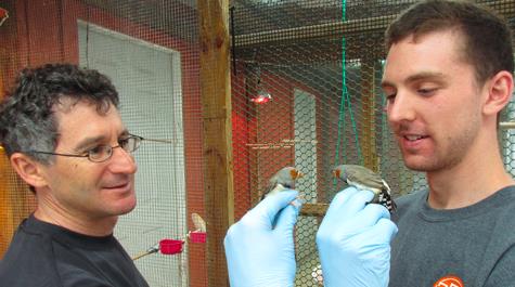 A bird in the lab is worth …