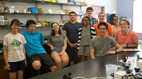 The whole 2016 iGEM team: 