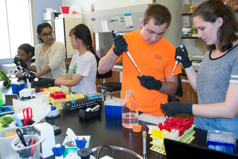 At work on iGEM: 