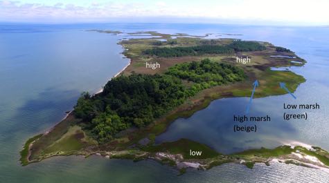 High and Low Marsh