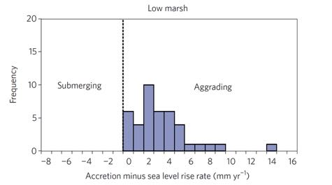 Low Marsh Dynamics