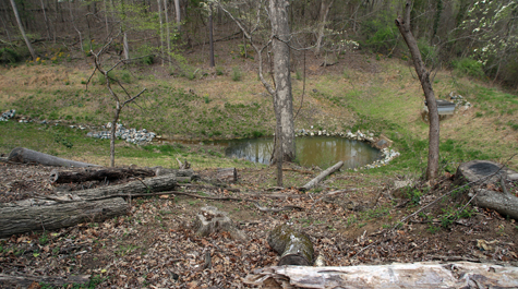 Environmental impact