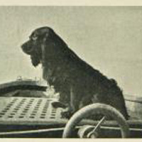 A bookplate from the Chapin portion of the Chapin-Horowitz collection