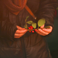 holly-thumb.jpg