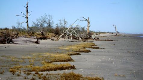 Parramore migration: