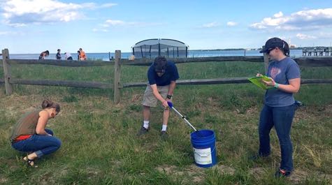 Cleaning the beach: