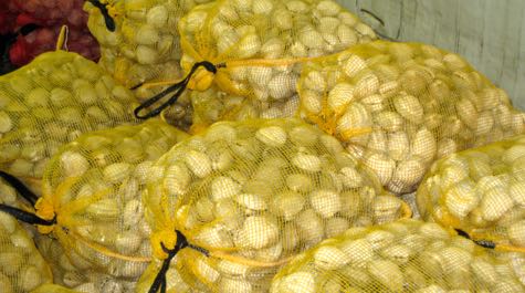 Clam Bags: