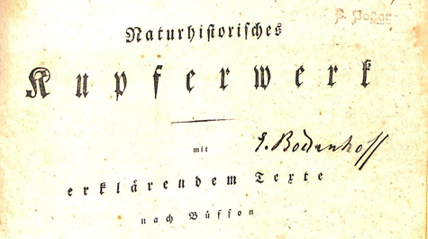 Title page