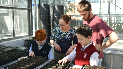 Planting monarchs: