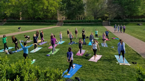 Yoga in the Sunken Garden: