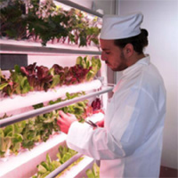 grow-wall-thumb.jpg