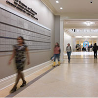 miller-hall-square-thumbnail