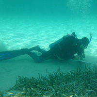 scuba-thumb.jpg