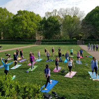 yoga-thumb.jpg