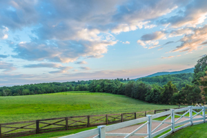 Topography serves as a form of biography in the tour, as the context for the time in which Monroe lived is layered over the land he once owned. (Photo by Larry Bouterie)