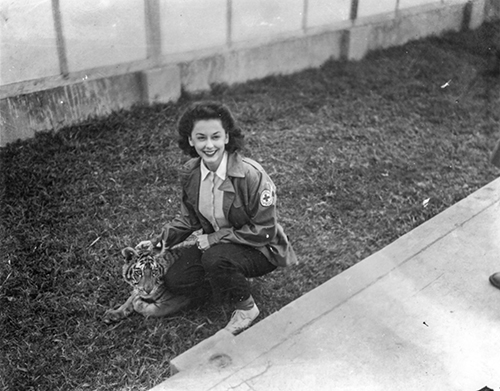 Allen poses with Bengal tiger Sugar, the camp mascot at one stop on the ''Private Lives'' tour.