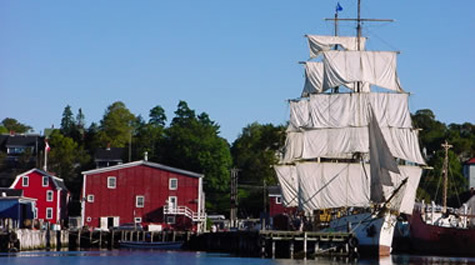 In safe harbor