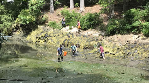 Crim Dell project: