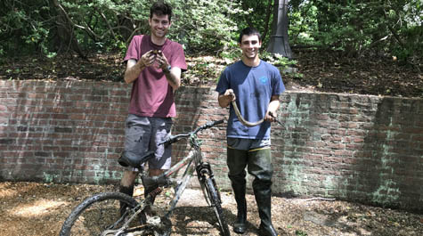 Crim Dell project: