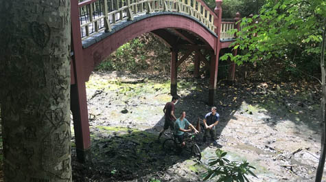 Crim Dell project:
