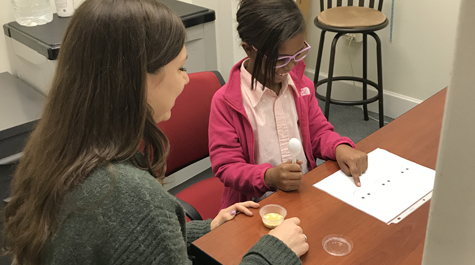 Examining the senses: