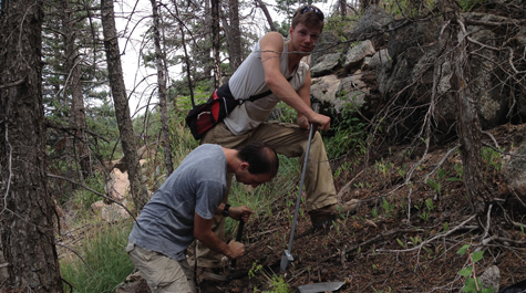 Digging in: