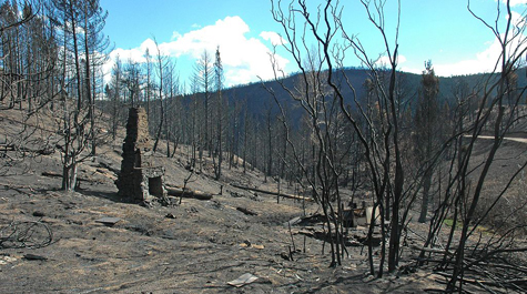 Path of destruction:
