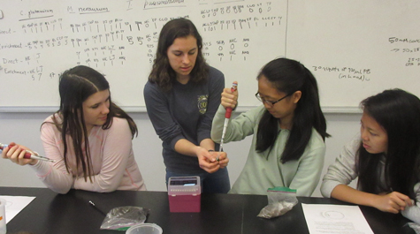 Pipetting basics: 