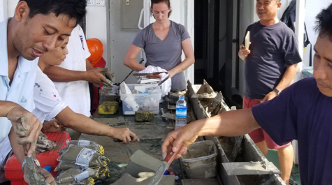 Andaman sampling: