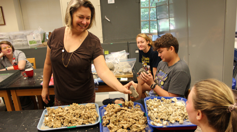 Women in the lab: