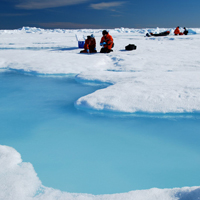 arctic-thumb.jpg