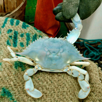 blueblue-thumb.jpg