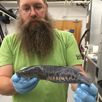 snakehead-thumb.jpg