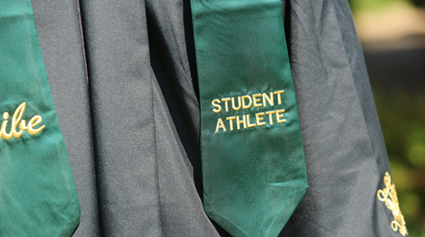 Student athlete stole