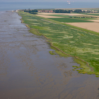 wetlands-thumb.jpg