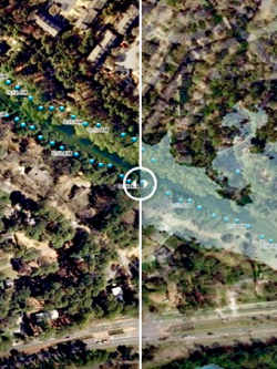 Select the photo for an example of how Catch the King data has helped improve the VIMS flood model.