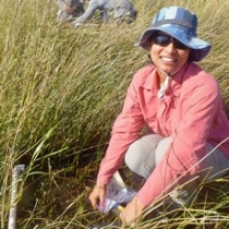 Manisha Pant, a technician in David Johnson's laboratory at VIMS, samples the invertebrate community within a Louisiana salt marsh. (Photo by D. Johnson/VIMS)