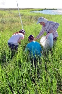 Researchers collect data on the effects of the Deepwater Horizon oil spill from a saltmarsh in Louisiana's Barataria Bay. (Photo by I. Mendelssohn/LSU)