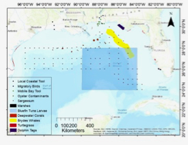 NOAA is funding adaptation of VIMS' living shoreline model to coastal bays in Texas, Louisiana and Alabama. The model uses coastal inventory data to recommend a best management practice for a chosen shoreline segment. Select image for more information. (NOAA Restore image)