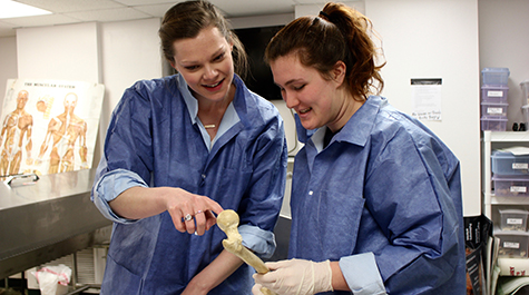 William & 玛丽 student Laura Anderson is seen working in the Anatomy Lab, instructing a fellow student about the structures within an actual human bone. 
