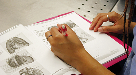 A student’s notebook shown with illustrations and notes taken during a dissection of a human heart. 