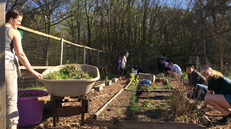 Campus Garden: